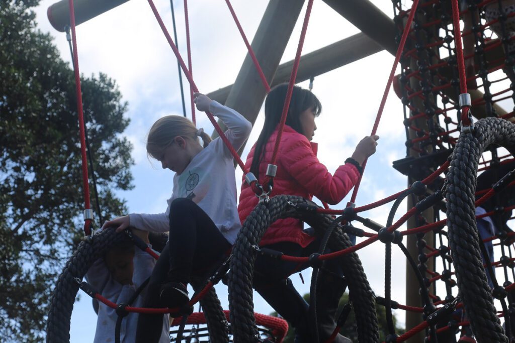 Birds-Nest-Tower-Black-Forest-149