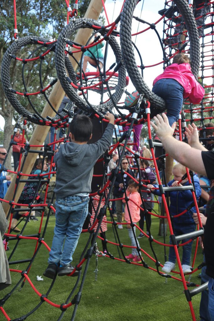 Birds-Nest-Tower-Black-Forest-53