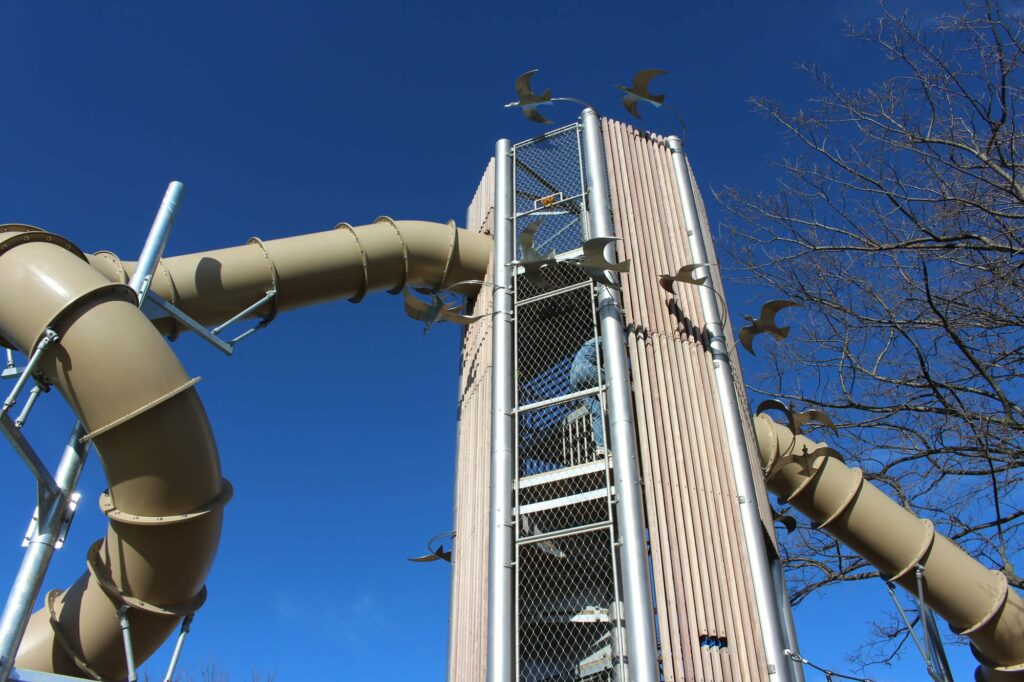 Anderson Park Napier Playground