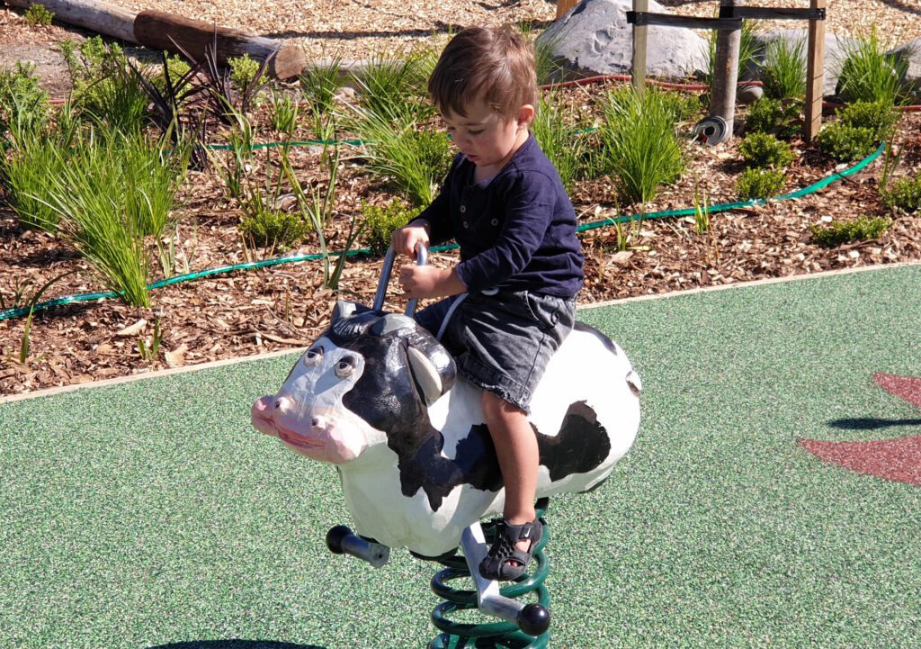Te Āhuru Mōwai Playground (Marton Playground)